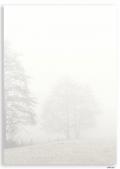 [1643032800] Designblatt A4 210x297 mm 'Bäume' 100 g/qm